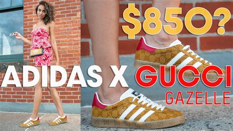 gucci adidas gazelle review